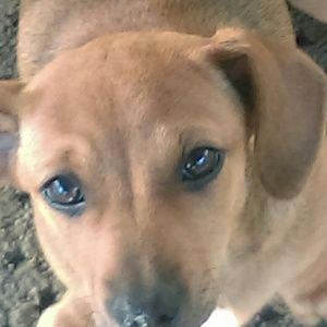 Meet your Posher, Traci